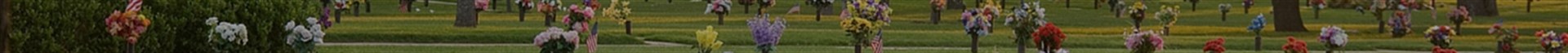 tjmskinnybanner